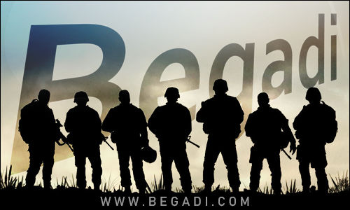 Begadi
